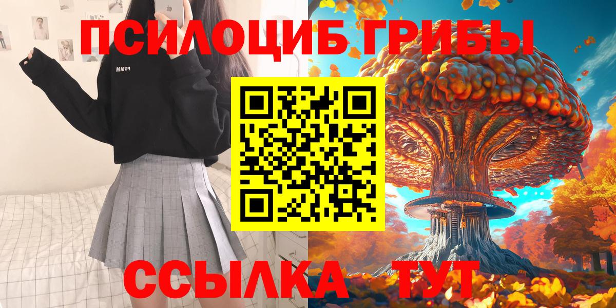 Новоалтайск  Галлюциногенные грибы Psilocybine cubensis  Вход с VPN 